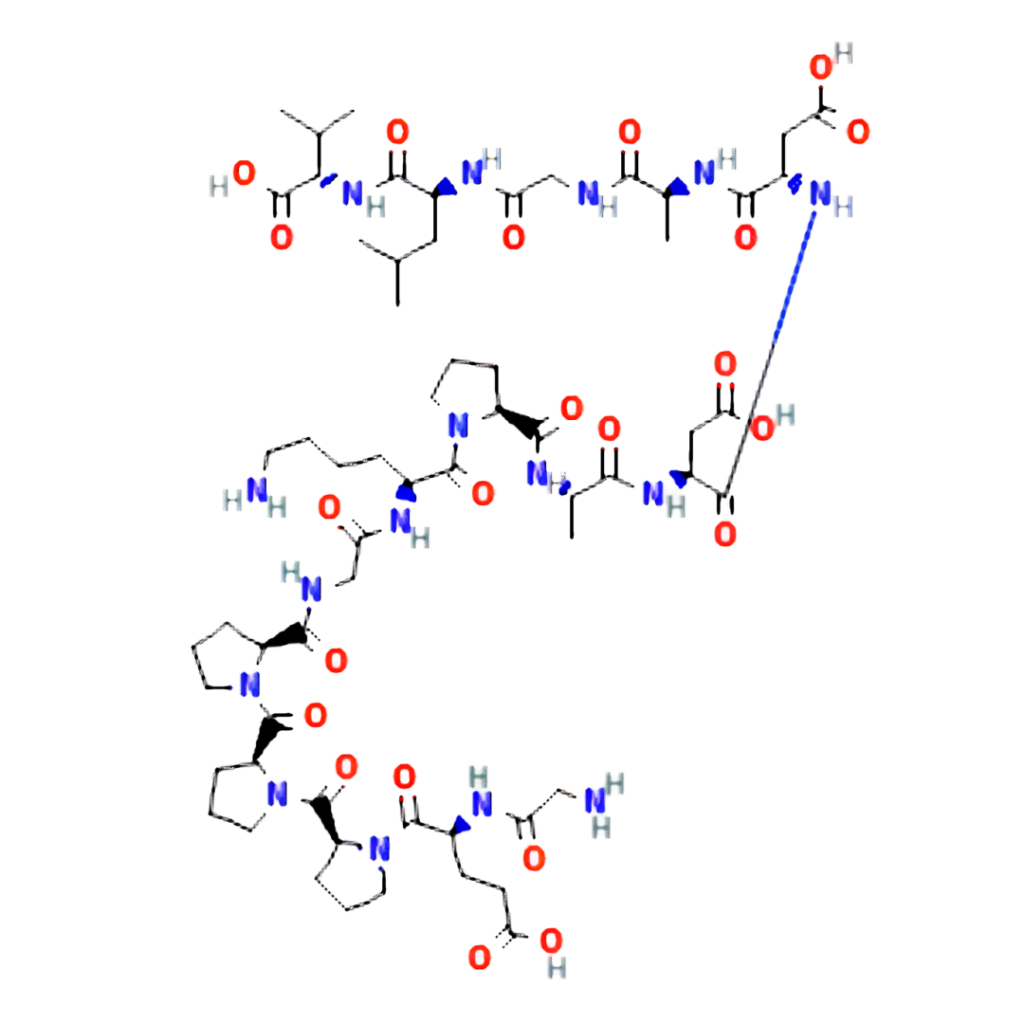 2D molecular structure of the BPC-157 research peptide